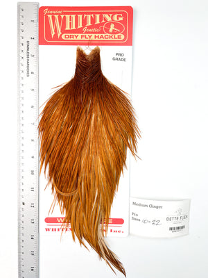 Medium Ginger - Whiting Line Rooster Cape - Pro Grade (#3)