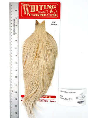 Ghost Barred White - Whiting Line Rooster Cape - Pro Grade (#2)