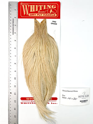 Ghost Barred White - Whiting Line Rooster Cape - Pro Grade (#3)