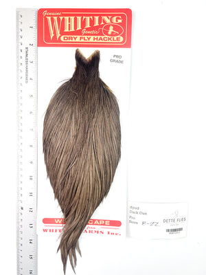 dyed Dark Dun - Whiting Line Rooster Cape - Pro Grade (#2)