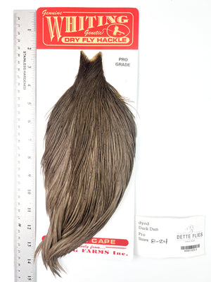 dyed Dark Dun - Whiting Line Rooster Cape - Pro Grade (#3)
