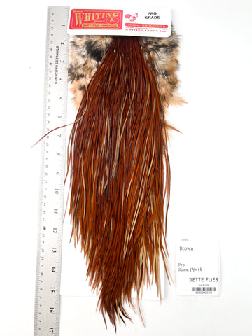 Brown - Whiting Line Rooster Saddle - Pro Grade (#16)