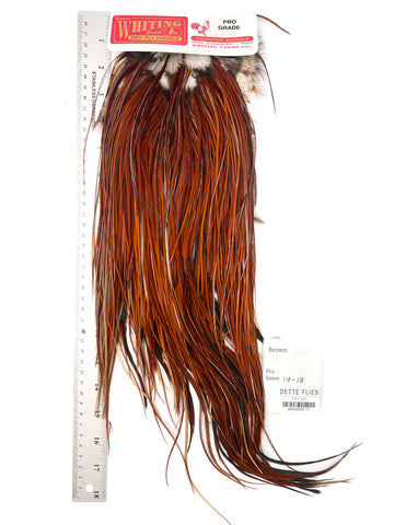 Brown - Whiting Line Rooster Saddle - Pro Grade (#17)