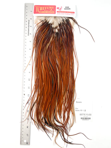 Brown - Whiting Line Rooster Saddle - Pro Grade (#21)