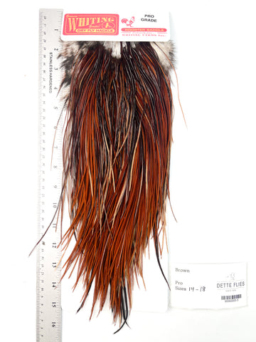 Brown - Whiting Line Rooster Saddle - Pro Grade (#3)