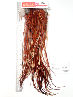 Brown - Whiting Line Rooster Saddle - Pro Grade (#5)