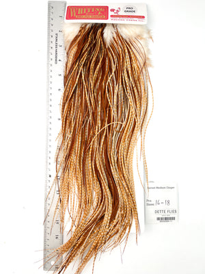 Barred Medium Ginger - Whiting Line Rooster Saddle - Pro Grade (#11)