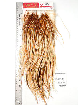 Barred Medium Ginger - Whiting Line Rooster Saddle - Pro Grade (#12)