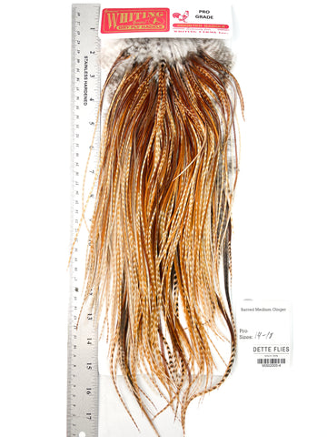 Barred Medium Ginger - Whiting Line Rooster Saddle - Pro Grade (#4)