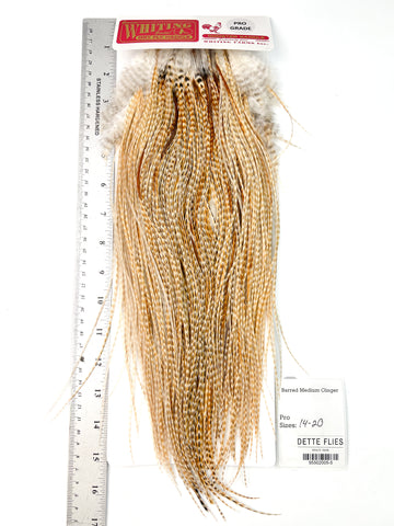 Barred Medium Ginger - Whiting Line Rooster Saddle - Pro Grade (#5)