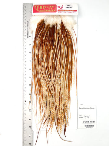 Barred Medium Ginger - Whiting Line Rooster Saddle - Pro Grade (#6)
