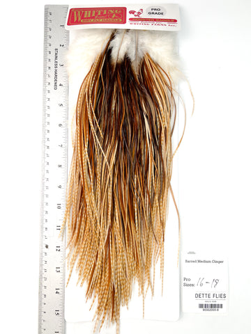 Barred Medium Ginger - Whiting Line Rooster Saddle - Pro Grade (#8)