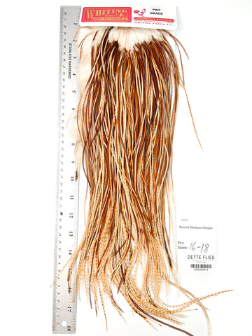 Barred Medium Ginger - Whiting Line Rooster Saddle - Pro Grade (#9)