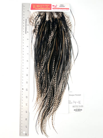 Unique Variant - Whiting Line Rooster Saddle - Pro Grade (#9)