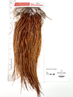 Barred Dark Ginger - Whiting Line Rooster Saddle - Pro Grade