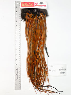 Furnace - Whiting Line Rooster Saddle - Pro Grade (#3)