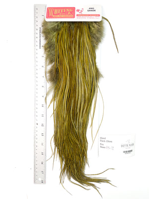 dyed Dark Olive - Whiting Line Rooster Saddle - Pro Grade (#3)