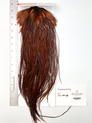 dyed Coachman Brown - Whiting Line Rooster Saddle - Pro Grade