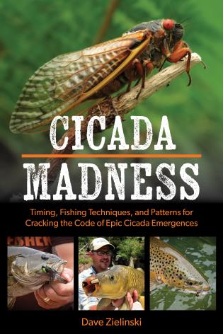 Cicada Madness by Dave Zielinski