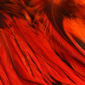 Badger Saddle Hackle 5-7"