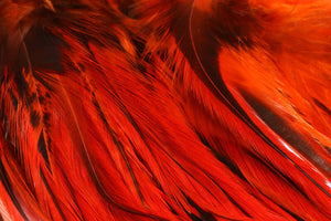 Badger Saddle Hackle 5-7"