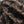 Black Legged Squishenille