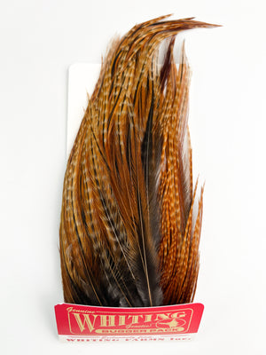 Whiting Farms Bugger Pack - Barred Dark Ginger