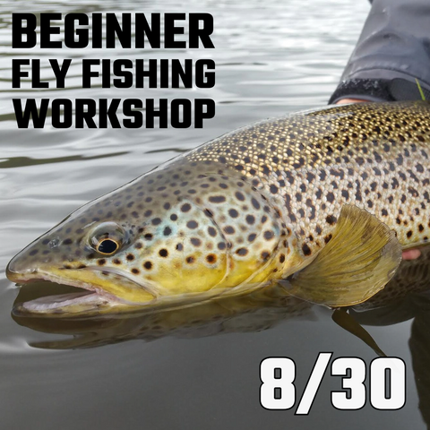 Beginner Fly Fishing Workshop - 8/30