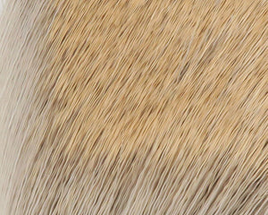 Coastal Deer Hair