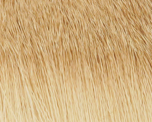 Coastal Deer Hair