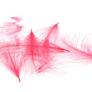 Cul de Canard CDC Plumes