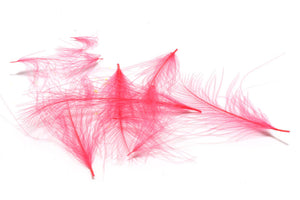 Cul de Canard CDC Plumes