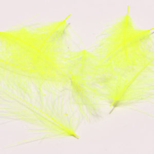 Cul de Canard CDC Plumes