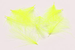 Cul de Canard CDC Plumes