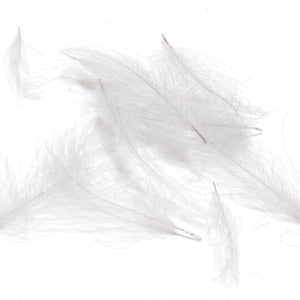 Cul de Canard CDC Plumes