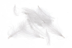 Cul de Canard CDC Plumes