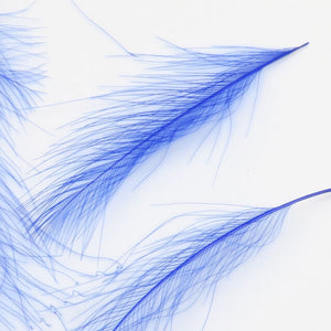 Cul de Canard CDC Plumes