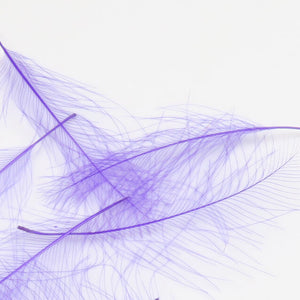 Cul de Canard CDC Plumes