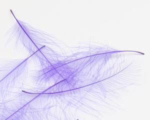 Cul de Canard CDC Plumes