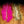 Crosscut Rabbit Strips