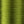 Flymaster Plus 210 Denier Waxed Thread - 100 Yard Spool
