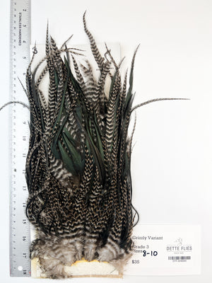 Grizzly Variant | Sideling Hill Hackle Rooster Saddle - Grade 3