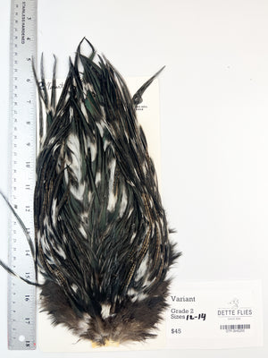 Variant | Sideling Hill Hackle Rooster Saddle - Grade 2