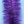 Sparkle Brush