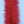 Anadromus Brush