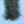 Tarantula Hairy Legs Brush by EP
