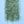 Tarantula Hairy Legs Brush by EP