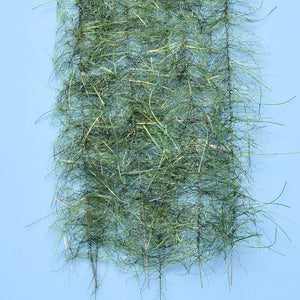 Tarantula Hairy Legs Brush by EP