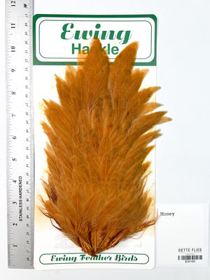 Honey - Ewing Hen Saddle (160)