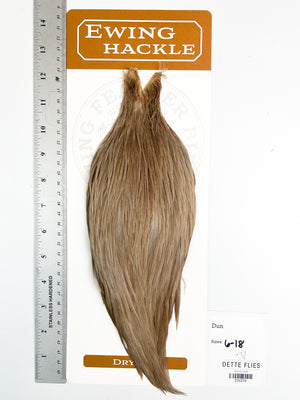 Dun - Ewing Dry Fly Rooster Cape